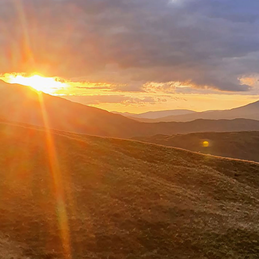 sunset tours